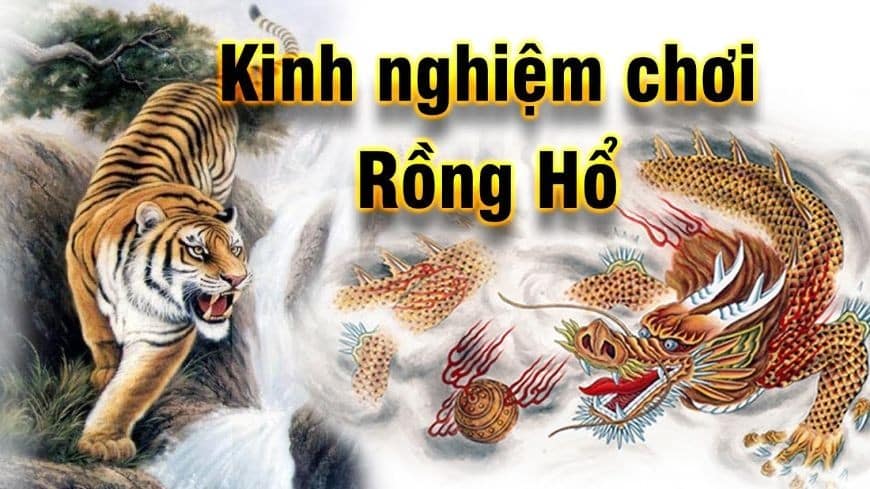 Kinh nghiệm khi chơi Rồng Hổ