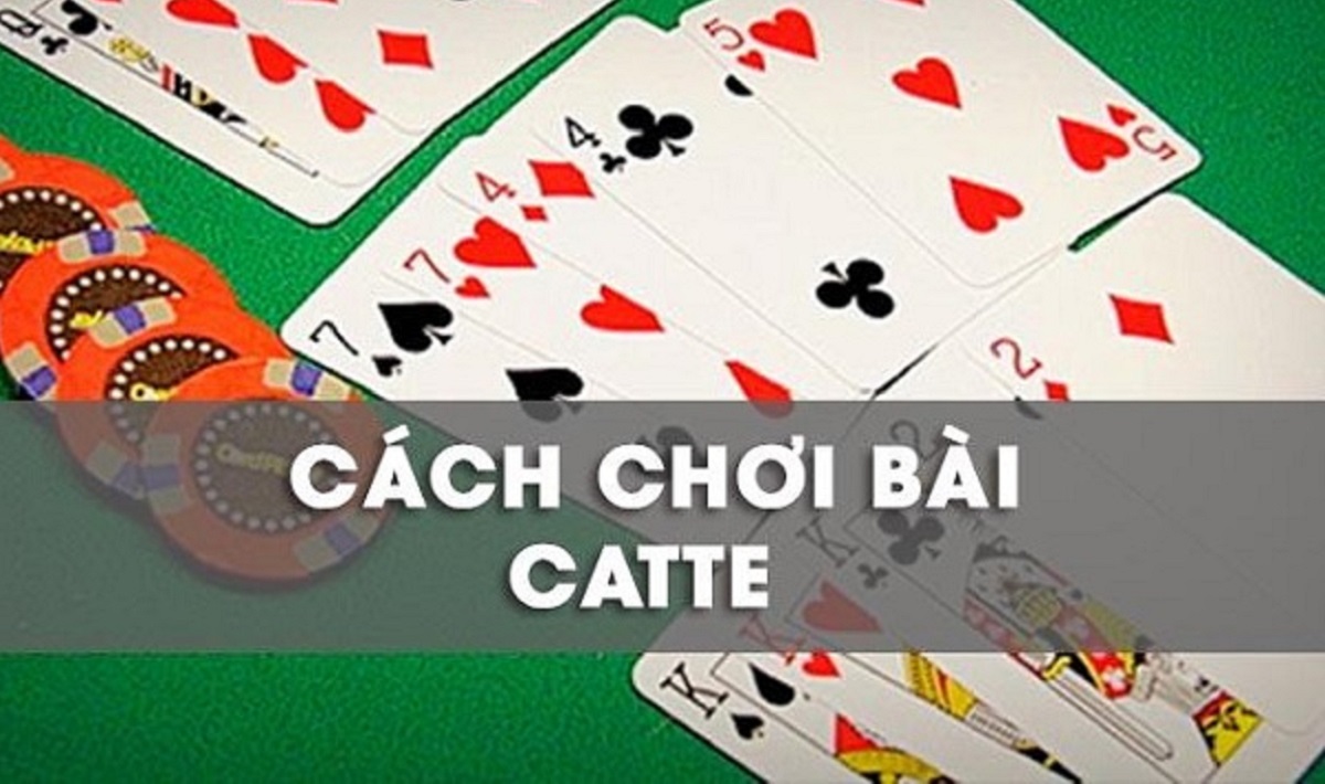 Kỹ thuật chơi bài Catte Shbet cho tân thủ