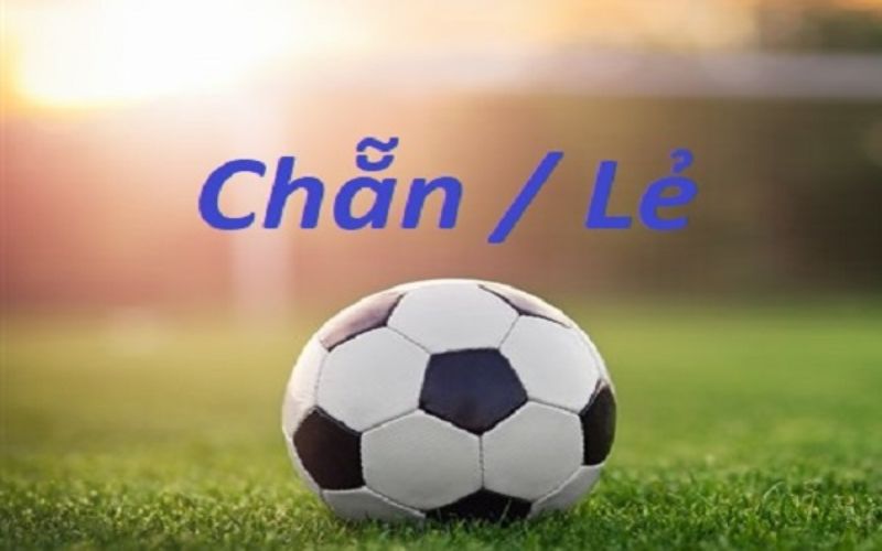 Kinh nghiệm chơi kèo chẵn lẻ dành cho tân thủ