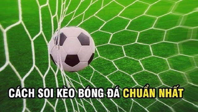 Tuyệt chiêu soi kèo bóng bất bại tại Shbet