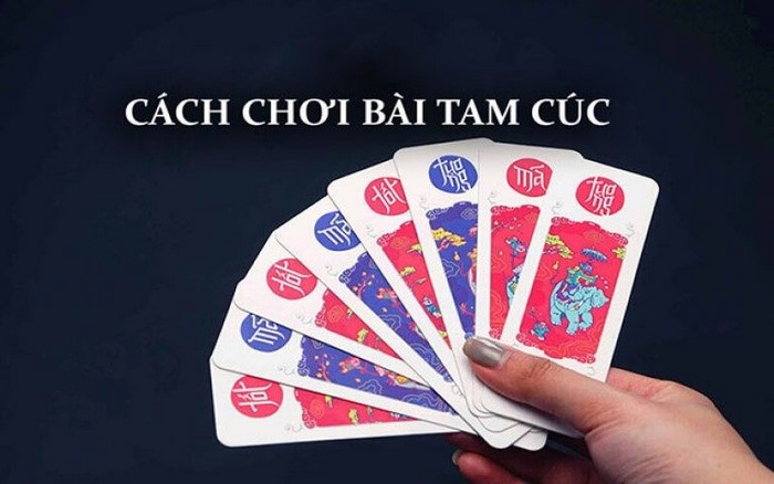 Bài Tam cúc là gì? Cùng SHBET tìm hiểu game bài dân gian thú vị ít ai biết