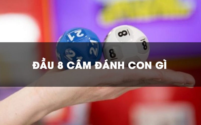 Lô đầu 8 câm có nghĩa là gì?