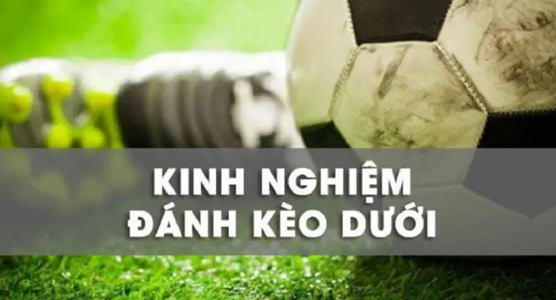 Lưu ý khi đánh kèo dưới ở mức thấp