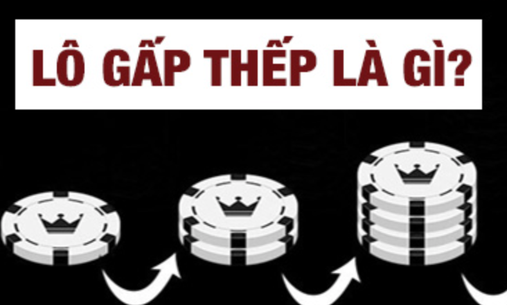 Lô gấp thếp là gì?