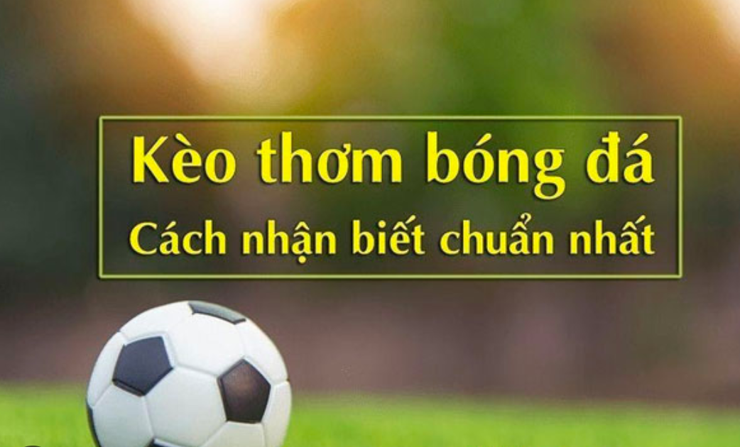 Khám phá soi kèo thơm từ cao thủ SHBET