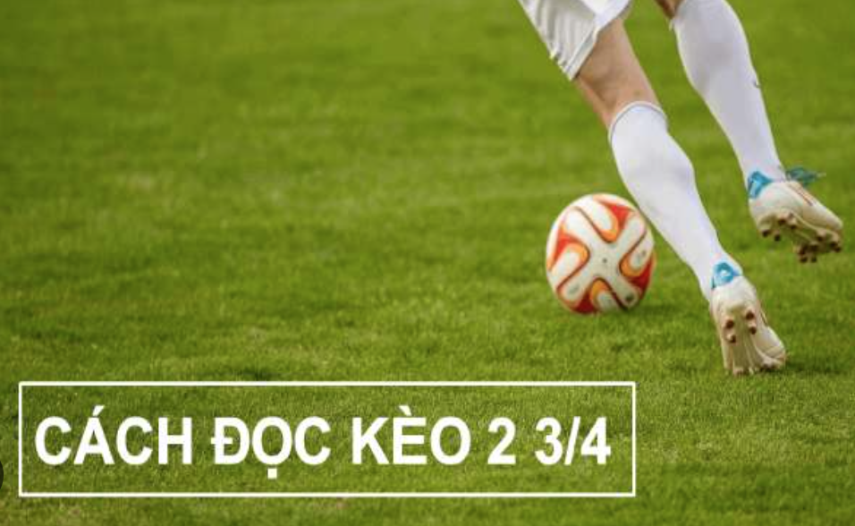 Kèo 2 3/4 là gì? Bí quyết hiểu và cược kèo 2 3/4 hiệu quả tại SHBET