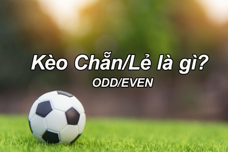 Kèo chẵn lẻ có nghĩa là gì?