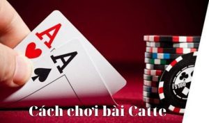 Quy tắc chơi bài Catte bất bại 